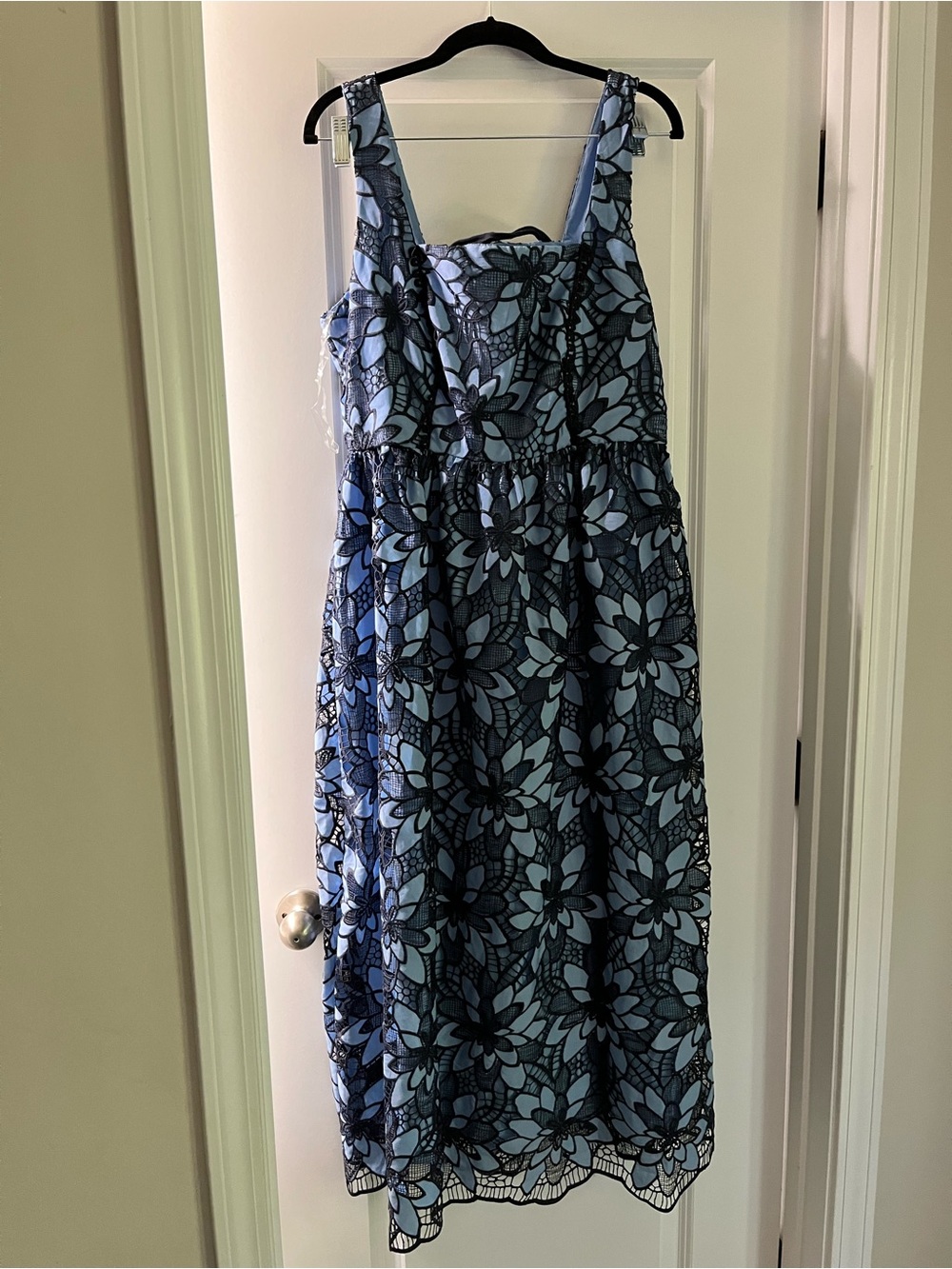 New York & Company Light Blue Dress with Navy Lace Overlay